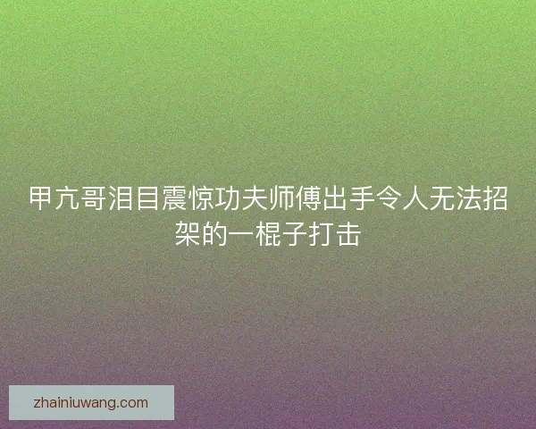 甲亢哥泪目震惊功夫师傅出手令人无法招架的一棍子打击