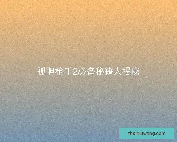 孤胆枪手2必备秘籍大揭秘