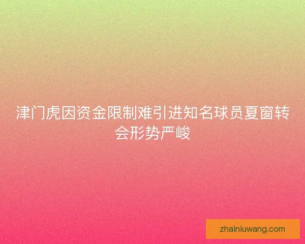 津门虎因资金限制难引进知名球员夏窗转会形势严峻