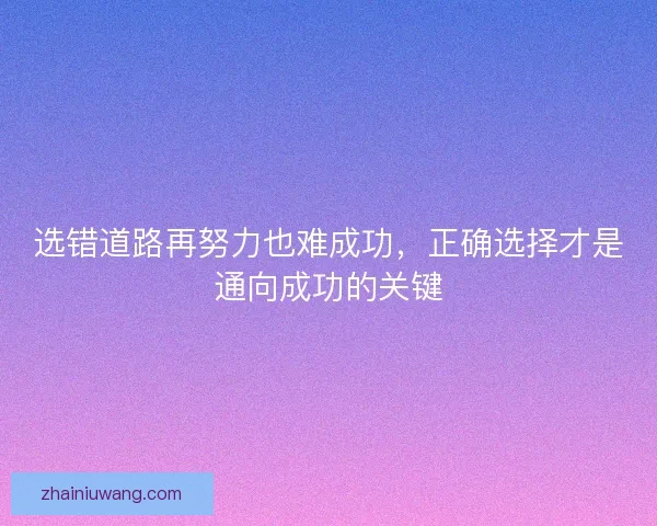 选错道路再努力也难成功，正确选择才是通向成功的关键